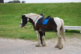 Ein paar Eindrücke aus Cuxhaven